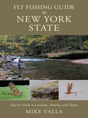 cover image of Fly Fishing Guide to New York State